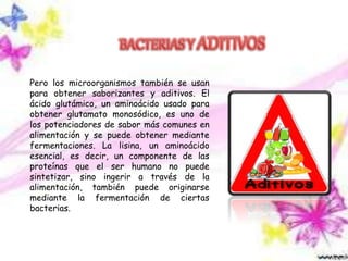 Utilidad de los microorganismos en la industria alimentaria | PPTX