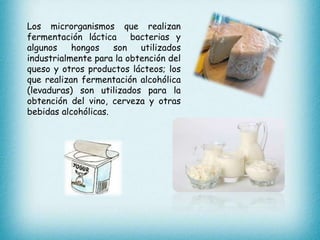 Utilidad de los microorganismos en la industria alimentaria | PPTX