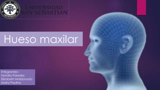 Hueso maxilar
Integrantes:
Natalia Paredes
Elizabeth Maldonado
Maira Paulino
 