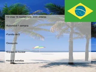 BRASIL BUCIOS
BRASIL
BUSIOS
•13 Días 14 noches solo 3000 dólares
•Automóvil 1 semana
•Familia de 5
•Desayuno
•Equipo de bucear
•Hotel 4 estrellas
 