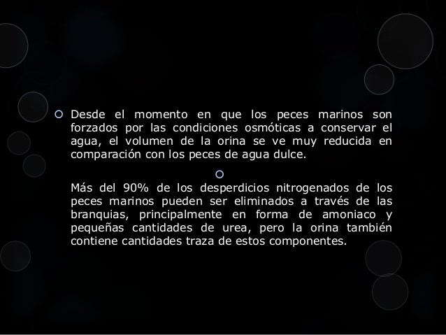Diferencia Entre Estructuras Excretoras De Los Condrictios Y Osteoict