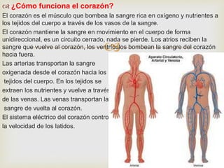 
 ¿Cómo funciona el corazón?
El corazón es el músculo que bombea la sangre rica en oxígeno y nutrientes a
los tejidos del cuerpo a través de los vasos de la sangre.
El corazón mantiene la sangre en movimiento en el cuerpo de forma
unidireccional, es un circuito cerrado, nada se pierde. Los atrios reciben la
sangre que vuelve al corazón, los ventrículos bombean la sangre del corazón
hacia fuera.
Las arterias transportan la sangre
oxigenada desde el corazón hacia los
tejidos del cuerpo. En los tejidos se
extraen los nutrientes y vuelve a través
de las venas. Las venas transportan la
sangre de vuelta al corazón.
El sistema eléctrico del corazón controla
la velocidad de los latidos.
 