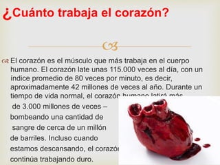 
 El corazón es el músculo que más trabaja en el cuerpo
humano. El corazón late unas 115.000 veces al día, con un
índice promedio de 80 veces por minuto, es decir,
aproximadamente 42 millones de veces al año. Durante un
tiempo de vida normal, el corazón humano latirá más
de 3.000 millones de veces –
bombeando una cantidad de
sangre de cerca de un millón
de barriles. Incluso cuando
estamos descansando, el corazón
continúa trabajando duro.
¿Cuánto trabaja el corazón?
 