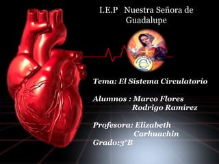 I.E.P Nuestra Señora de 
Guadalupe 
Tema: El Sistema Circulatorio 
Alumnos : Marco Flores 
Rodrigo Ramírez 
Profesora: Elizabeth 
Carhuachin 
Grado:3°B 
 