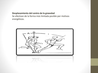 Desplazamiento del centro de la gravedad 
Se efectúan de la forma más limitada posible por motivos 
energéticos. 
 