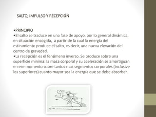 SALTO, IMPULSO Y RECEPCIÓN 
•PRINCIPIO 
•El salto se traduce en una fase de apoyo, por lo general dinámica, 
en situación encogida, a partir de la cual la energía del 
estiramiento produce el salto, es decir, una nueva elevación del 
centro de gravedad. 
•La recepción es el fenómeno inverso. Se produce sobre una 
superficie minima: la masa corporal y su aceleración se amortiguan 
en ese momento sobre tantos mas segmentos corporales (inclusive 
los superiores) cuanto mayor sea la energía que se debe absorber. 
 