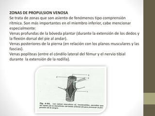 ZONAS DE PROPULSION VENOSA 
Se trata de zonas que son asiento de fenómenos tipo comprensión 
rítmica. Son más importantes en el miembro inferior, cabe mencionar 
especialmente: 
Venas profundas de la bóveda plantar (durante la extensión de los dedos y 
la flexión dorsal del pie al andar). 
Venas posteriores de la pierna (en relación con los planos musculares y las 
fascias). 
Venas poplíteas (entre el cóndilo lateral del fémur y el nervio tibial 
durante la extensión de la rodilla). 
 