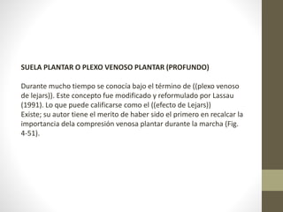 SUELA PLANTAR O PLEXO VENOSO PLANTAR (PROFUNDO) 
Durante mucho tiempo se conocía bajo el término de ((plexo venoso 
de lejars)). Este concepto fue modificado y reformulado por Lassau 
(1991). Lo que puede calificarse como el ((efecto de Lejars)) 
Existe; su autor tiene el merito de haber sido el primero en recalcar la 
importancia dela compresión venosa plantar durante la marcha (Fig. 
4-51). 
 
