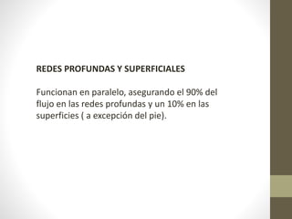 REDES PROFUNDAS Y SUPERFICIALES 
Funcionan en paralelo, asegurando el 90% del 
flujo en las redes profundas y un 10% en las 
superficies ( a excepción del pie). 
 