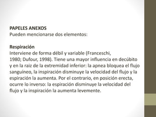 PAPELES ANEXOS 
Pueden mencionarse dos elementos: 
Respiración 
Interviene de forma débil y variable (Franceschi, 
1980; Dufour, 1998). Tiene una mayor influencia en decúbito 
y en la raiz de la extremidad inferior: la apnea bloquea el flujo 
sanguíneo, la inspiración disminuye la velocidad del flujo y la 
espiración la aumenta. Por el contrario, en posición erecta, 
ocurre lo inverso: la espiración disminuye la velocidad del 
flujo y la inspiración la aumenta levemente. 
 