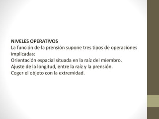 NIVELES OPERATIVOS 
La función de la prensión supone tres tipos de operaciones 
implicadas: 
Orientación espacial situada en la raíz del miembro. 
Ajuste de la longitud, entre la raíz y la prensión. 
Coger el objeto con la extremidad. 
 