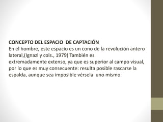 CONCEPTO DEL ESPACIO DE CAPTACIÓN 
En el hombre, este espacio es un cono de la revolución antero 
lateral,(Ignazl y cols., 1979) También es 
extremadamente extenso, ya que es superior al campo visual, 
por lo que es muy consecuente: resulta posible rascarse la 
espalda, aunque sea imposible vérsela uno mismo. 
 