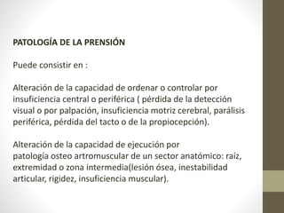 PATOLOGÍA DE LA PRENSIÓN 
Puede consistir en : 
Alteración de la capacidad de ordenar o controlar por 
insuficiencia central o periférica ( pérdida de la detección 
visual o por palpación, insuficiencia motriz cerebral, parálisis 
periférica, pérdida del tacto o de la propiocepción). 
Alteración de la capacidad de ejecución por 
patología osteo artromuscular de un sector anatómico: raíz, 
extremidad o zona intermedia(lesión ósea, inestabilidad 
articular, rigidez, insuficiencia muscular). 
 