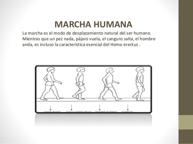 Marcha