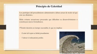 Principio de Celeridad 
Los partícipes del procedimiento administrativo deben actuar de modo tal que 
este sea dinámico. 
Debe evitarse actuaciones procesales que dificulten su desenvolvimiento o 
constituyan meros formalismos. 
Emitir decisión en tiempo razonable, lo que no implica: 
- Eximir del respeto al debido procedimiento. 
- Vulnerar el ordenamiento jurídico. 
 