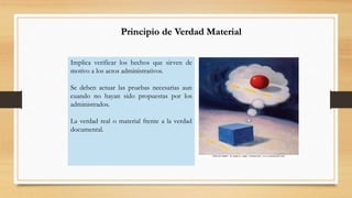 Principio de Verdad Material 
Implica verificar los hechos que sirven de 
motivo a los actos administrativos. 
Se deben actuar las pruebas necesarias aun 
cuando no hayan sido propuestas por los 
administrados. 
La verdad real o material frente a la verdad 
documental. 
 