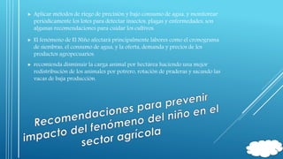  Aplicar métodos de riego de precisión y bajo consumo de agua, y monitorear 
periódicamente los lotes para detectar insectos, plagas y enfermedades, son 
algunas recomendaciones para cuidar los cultivos. 
 El fenómeno de El Niño afectará principalmente labores como el cronograma 
de siembras, el consumo de agua, y la oferta, demanda y precios de los 
productos agropecuarios. 
 recomienda disminuir la carga animal por hectárea haciendo una mejor 
redistribución de los animales por potrero, rotación de praderas y sacando las 
vacas de baja producción. 
 