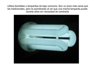 -Utiliza bombillas o lamparitas de bajo consumo. Son un poco más caras que 
las tradicionales, pero te asombrarás al ver que una misma lamparita puede 
durarte años sin necesidad de cambiarla 
 