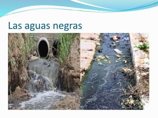 Las aguas negras 
 