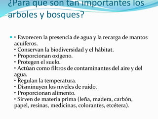 ¿Para que son tan importantes los 
arboles y bosques? 
 • Favorecen la presencia de agua y la recarga de mantos 
acuíferos. 
• Conservan la biodiversidad y el hábitat. 
• Proporcionan oxígeno. 
• Protegen el suelo. 
• Actúan como filtros de contaminantes del aire y del 
agua. 
• Regulan la temperatura. 
• Disminuyen los niveles de ruido. 
• Proporcionan alimento. 
• Sirven de materia prima (leña, madera, carbón, 
papel, resinas, medicinas, colorantes, etcétera). 
 