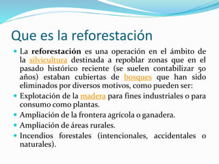 Que es la reforestación 
 La reforestación es una operación en el ámbito de 
la silvicultura destinada a repoblar zonas que en el 
pasado histórico reciente (se suelen contabilizar 50 
años) estaban cubiertas de bosques que han sido 
eliminados por diversos motivos, como pueden ser: 
 Explotación de la madera para fines industriales o para 
consumo como plantas. 
 Ampliación de la frontera agrícola o ganadera. 
 Ampliación de áreas rurales. 
 Incendios forestales (intencionales, accidentales o 
naturales). 
 
