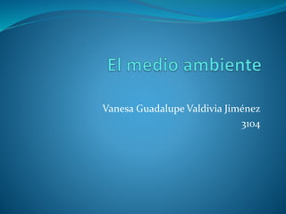 Vanesa Guadalupe Valdivia Jiménez 
3104 
 