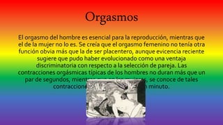 Orgasmos
El orgasmo del hombre es esencial para la reproducción, mientras que
el de la mujer no lo es. Se creía que el orgasmo femenino no tenía otra
función obvia más que la de ser placentero, aunque evicencia reciente
sugiere que pudo haber evolucionado como una ventaja
discriminatoria con respecto a la selección de pareja. Las
contracciones orgásmicas típicas de los hombres no duran más que un
par de segundos, mientras que en las mujeres, se conoce de tales
contracciones que duran más de un minuto.
 