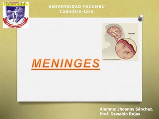UNIVERSIDAD YACAMBÚ 
Alumna: Jhoanny Sánchez. 
Prof. Oswaldo Rojas 
Cabudare-Lara 
 