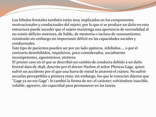 Los lóbulos frontales también están muy implicados en los componentes 
motivacionales y conductuales del sujeto; por lo que si se produce un daño en esta 
estructura puede suceder que el sujeto mantenga una apariencia de normalidad al 
no existir déficits motrices, de habla, de memoria o incluso de razonamiento; 
existiendo sin embargo un importante déficit en las capacidades sociales y 
conductuales. 
Este tipo de pacientes pueden ser por un lado apáticos, inhibidos..., o por el 
contrario desinhibidos, impulsivos, poco considerados, socialmente 
incompetentes, egocéntricos, etcétera. 
El primer caso en el que se describió un cambio de conducta debido a un daño 
frontal data de 1848, descrito por el doctor Harlow al señor Phineas Gage, quien 
sufrió un accidente por el que una barra de metal le atravesó el cráneo. No sufrió 
secuelas perceptibles a primera vista; sin embargo, los que le conocían dijeron que 
"Gage ya no era Gage": le cambió la forma de ser; el carácter; volviéndose irascible, 
voluble, agresivo, sin capacidad para permanecer en las tareas. 
 
