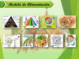 Alimentación y Salud