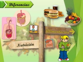 Alimentación y Salud