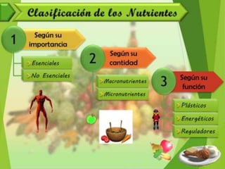 Alimentación y Salud
