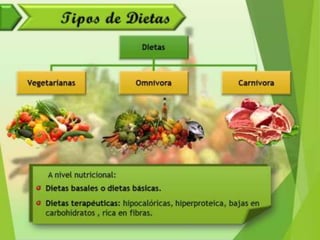 Alimentación y Salud