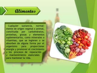 Alimentación y Salud