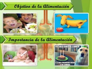 Alimentación y Salud