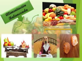 Alimentación y Salud
