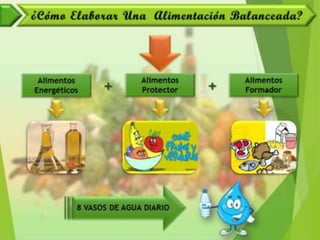 Alimentación y Salud
