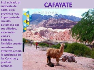 Está ubicado al 
sudoeste de 
Salta. Es la 
provincia más 
importante del 
circuito. 
Es famosa por 
sus viñedos, 
excelentes 
vinos y 
bodegas. 
También cuenta 
con otros 
atractivos como 
la Quebrada de 
las Conchas y 
pueblos 
cercanos 
 
