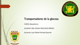 Transportadores de la glucosa 
CURSO: Bioquímica 
ALUMNO: DEL AGUILA FELICIANO SERGIO 
Docente: Ing. Rafael Pantoja Esquivel 
 