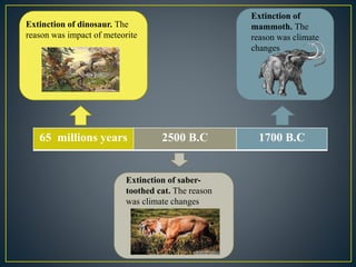Extinction of dinosaur. The 
reason was impact of meteorite 
65 millions years 2500 B.C 1700 B.C 
Extinction of saber-toothed 
cat. The reason 
was climate changes 
Extinction of 
mammoth. The 
reason was climate 
changes 
 