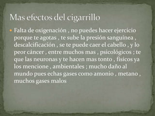  Falta de oxigenación , no puedes hacer ejercicio 
porque te agotas , te sube la presión sanguínea , 
descalcificación , se te puede caer el cabello , y lo 
peor cáncer , entre muchos mas , psicológicos ; te 
que las neuronas y te hacen mas tonto , físicos ya 
los mencione , ambientales ; mucho daño al 
mundo pues echas gases como amonio , metano , 
muchos gases malos 
 