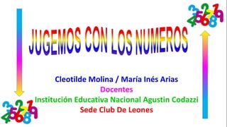 Cleotilde Molina / María Inés Arias 
Docentes 
Institución Educativa Nacional Agustin Codazzi 
Sede Club De Leones 
 