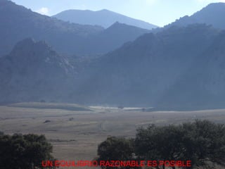 UN EQUILIBRIO RAZONABLE ES POSIBLE 
 