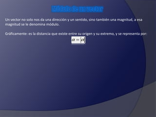 Un vector no solo nos da una dirección y un sentido, sino también una magnitud, a esa 
magnitud se le denomina módulo. 
Gráficamente: es la distancia que existe entre su origen y su extremo, y se representa por: 
 