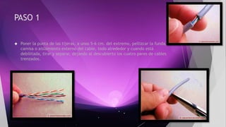 PASO 1 
 Poner la punta de las tijeras, a unos 5-6 cm. del extremo, pellizcar la funda, 
camisa o aislamiento externo del cable, todo alrededor y cuando está 
debilitada, tirar y separar, dejando al descubierto los cuatro pares de cables 
trenzados. 
 