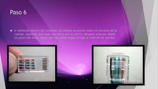 Paso 6 
 Ir metiendo dentro del conector, sin aflojar la presión sobre el extremo de la 
camisa, vigilando que cada uno entre por su carril y después empujar desde 
un poco más atrás, hasta que los cables llegan a tope al final de los carriles 
 