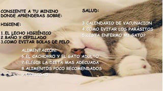 CONSIENTE A TU MININO 
DONDE APRENDERAS SOBRE: 
HIGIENE: 
1.EL LECHO HIGIÉNICO 
2.BAÑO Y CEPILLADO 
3.COMO EVITAR BOLAS DE PELO 
SALUD: 
3.CALENDARIO DE VACUNACION 
4.COMO EVITAR LOS PARÁSITOS 
5.¿ESTA ENFERMO MI GATO? 
ALIMENTACIÓN: 
6.EL CACHORRO Y EL GATO ADULTO 
7.ELEGIR LA DIETA MAS ADECUADA 
8.ALIMENTOS POCO RECOMENDADOS 
9.OBESIDAD 
 