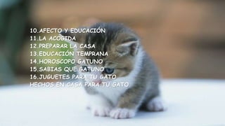 10.AFECTO Y EDUCACIÓN 
11.LA ACOGIDA 
12.PREPARAR LA CASA 
13.EDUCACIÓN TEMPRANA 
14.HOROSCOPO GATUNO 
15.SABIAS QUE GATUNO 
16.JUGUETES PARA TU GATO 
HECHOS EN CASA PARA TU GATO 
