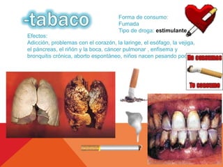 Forma de consumo: 
Fumada 
Tipo de droga: estimulante 
Efectos: 
Adicción, problemas con el corazón, la laringe, el esófago, la vejiga, 
el páncreas, el riñón y la boca, cáncer pulmonar , enfisema y 
bronquitis crónica, aborto espontáneo, niños nacen pesando poco 
 