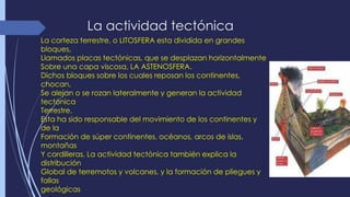 La actividad tectónica 
La corteza terrestre, o LITOSFERA esta dividida en grandes 
bloques, 
Llamados placas tectónicas, que se desplazan horizontalmente 
Sobre una capa viscosa, LA ASTENOSFERA. 
Dichos bloques sobre los cuales reposan los continentes, 
chocan, 
Se alejan o se rozan lateralmente y generan la actividad 
tectónica 
Terrestre. 
Esta ha sido responsable del movimiento de los continentes y 
de la 
Formación de súper continentes, océanos, arcos de islas, 
montañas 
Y cordilleras. La actividad tectónica también explica la 
distribución 
Global de terremotos y volcanes, y la formación de pliegues y 
fallas 
geológicas 
 